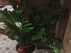 -莞府家宴·东莞菜(市民服务中心店)