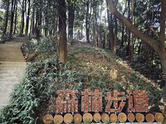 -广州市帽峰山景区
