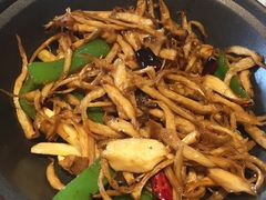 -素虎小呆鸟(西二旗店)
