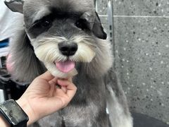 -宠物家(大兴旧宫店)