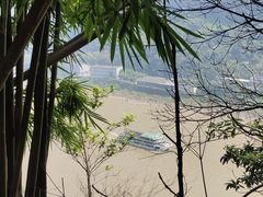 -南山植物园
