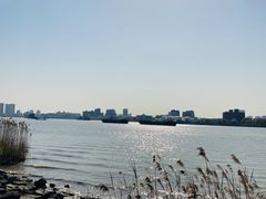 -上海山野camping·户外天幕烧烤·团建拓展营地