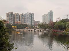 -荔湾湖公园