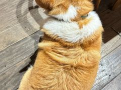 -肥朵食堂(带梦胡同店)