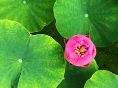 -南戴河国际娱乐中心