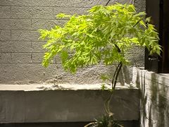 -大良毋米粥 · 粥底火锅(岭南天地店)