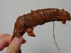 -狗撵鸭(泰山公寓店)