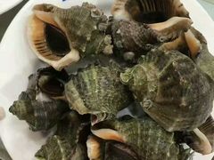 -春华海鲜城(广场西苑店)
