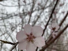 -哈根达斯(皇城恒隆广场店)