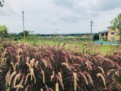 -青瓦房古村落