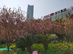 -北外滩滨江绿地