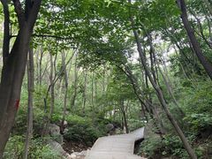 -大岭沟猕猴桃谷风景区