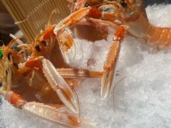 -清水日本料理铁板烧(学府路店)