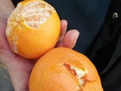 -西归浦每天偶来市场
