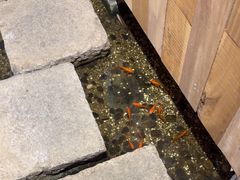 -邈墨茶馆(凤起路店)