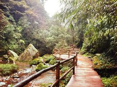 -碧峰峡风景区
