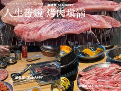 -麻蒲碳烤肉(远景路1号店)