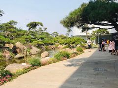 -罗红摄影艺术馆