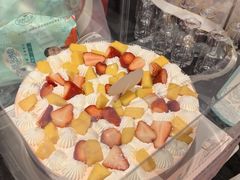 -维尔纳斯·生日蛋糕动物奶油冰淇淋蛋糕(人大店)