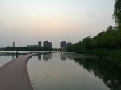 -暨阳湖生态园