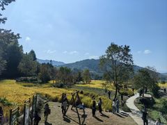 -塔川景区