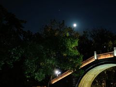 -枫桥夜泊