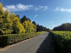 -红山国家森林公园