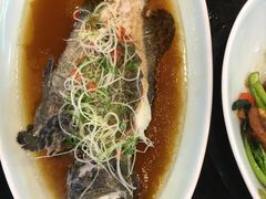 -盒马渔市餐厅
