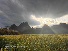 -靖西鹅泉风景区