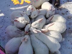 -绿野森林乐园冰雪季