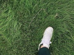 -芒洲湿地公园