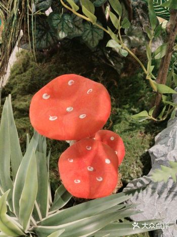 野生菌香浓，汤鲜野生选！