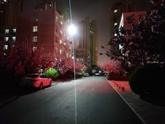 -山东外贸职业学院