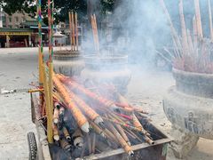 -悦城龙母祖庙
