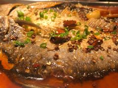 清江鱼-有位虾匠·香辣蟹·小龙虾(李村店)