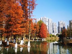 -白塘生态植物园