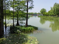 -尚湖风景区