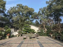 -南山植物园