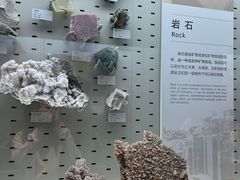 -浙江自然博物院(杭州馆)