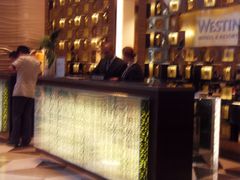 SDC10300-天津君隆威斯汀酒店