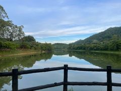 -凤岗南门山森林公园