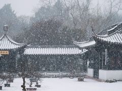 -扬州大运河文化旅游度假区·盆景园