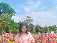 -天适樱花悠乐园