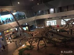 -自贡恐龙博物馆