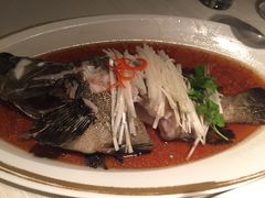 -金轩中餐厅 Jin Xuan(浦东丽思卡尔顿酒店)