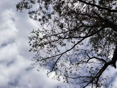 -浦江城市生活广场(江月路店)