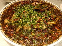 -新概念来凤鱼(璧山店)