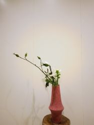 -今日陶艺(富力广场店)