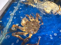 -盒马鲜生(莱蒙都会店)