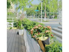 -Cetus coffee鲸鱼座咖啡·拼豆(二仙桥公园店)